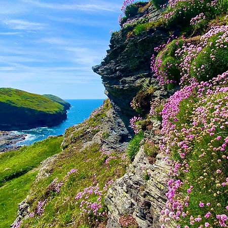 Polrunny Farm Blackberry Cottage - Cornwall Bliss In Sight Of The Sea Boscastle Exteriör bild