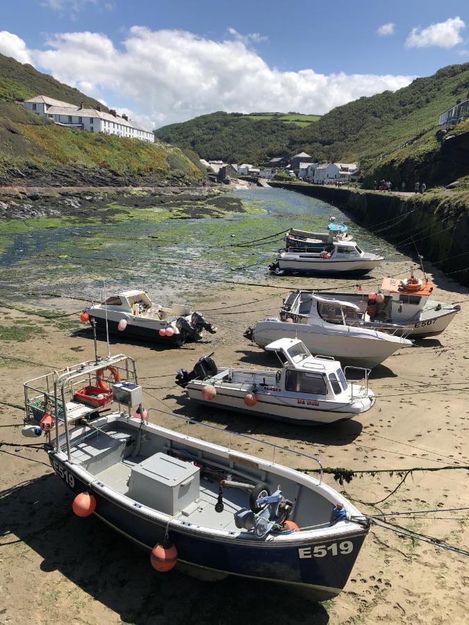 Polrunny Farm Blackberry Cottage - Cornwall Bliss In Sight Of The Sea Boscastle Exteriör bild