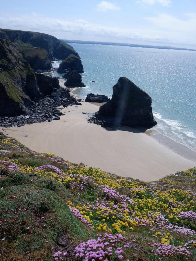 Polrunny Farm Blackberry Cottage - Cornwall Bliss In Sight Of The Sea Boscastle Exteriör bild
