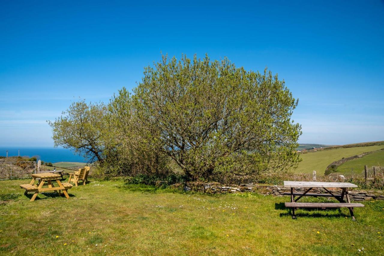 Polrunny Farm Blackberry Cottage - Cornwall Bliss In Sight Of The Sea Boscastle Exteriör bild