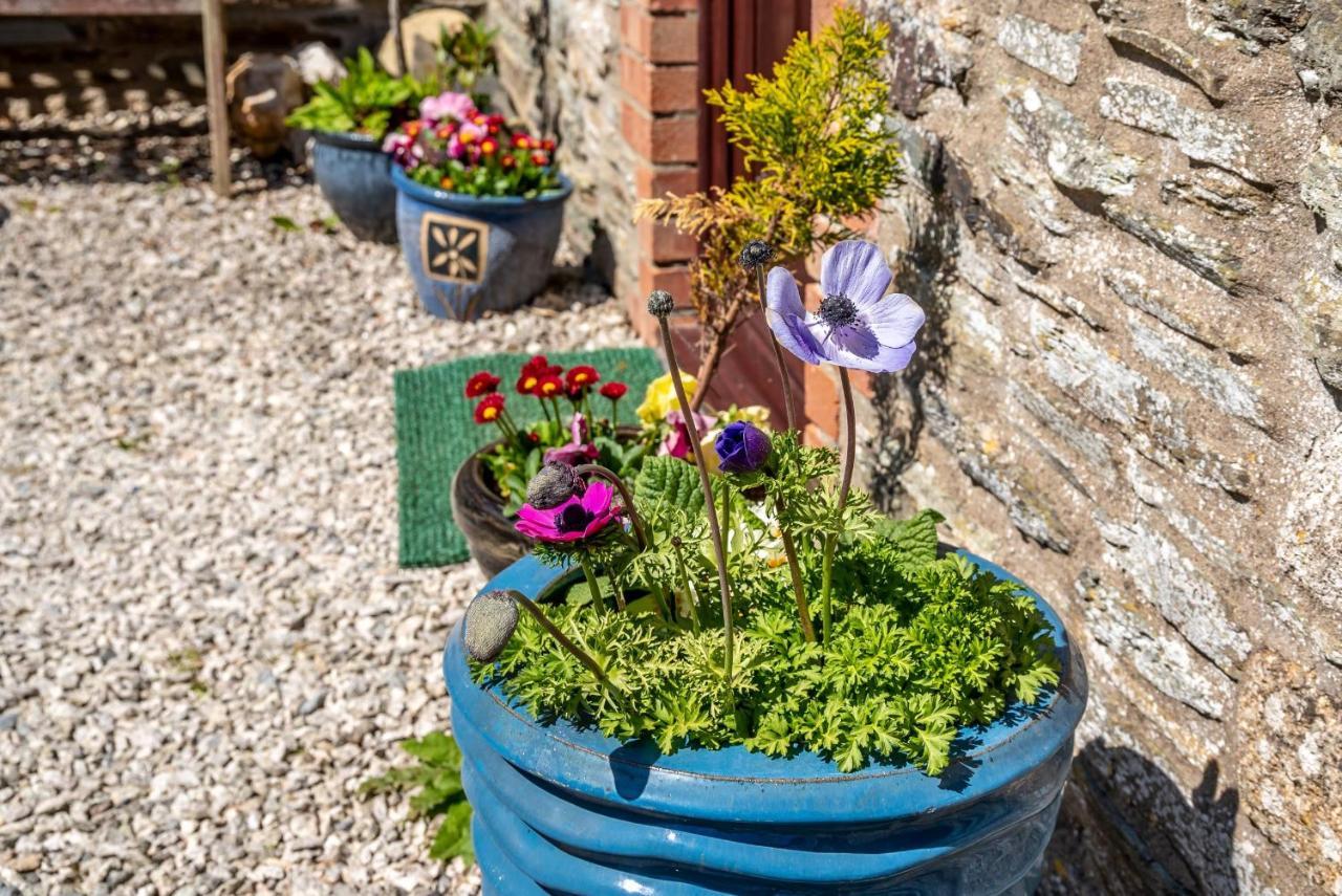 Polrunny Farm Blackberry Cottage - Cornwall Bliss In Sight Of The Sea Boscastle Exteriör bild