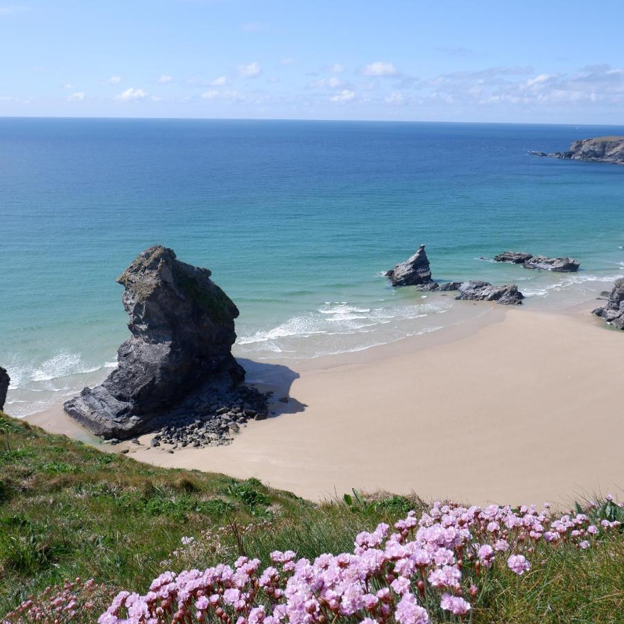 Polrunny Farm Blackberry Cottage - Cornwall Bliss In Sight Of The Sea Boscastle Exteriör bild