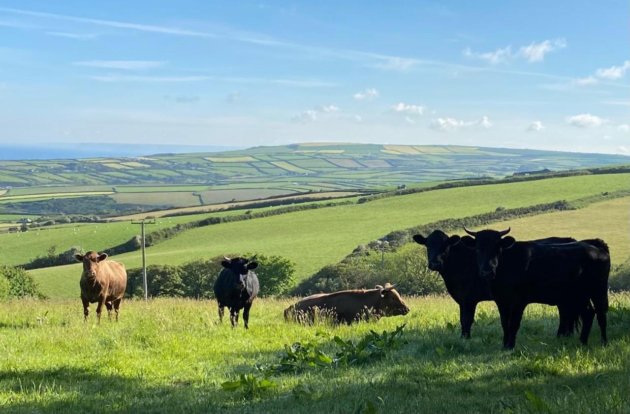 Polrunny Farm Blackberry Cottage - Cornwall Bliss In Sight Of The Sea Boscastle Exteriör bild