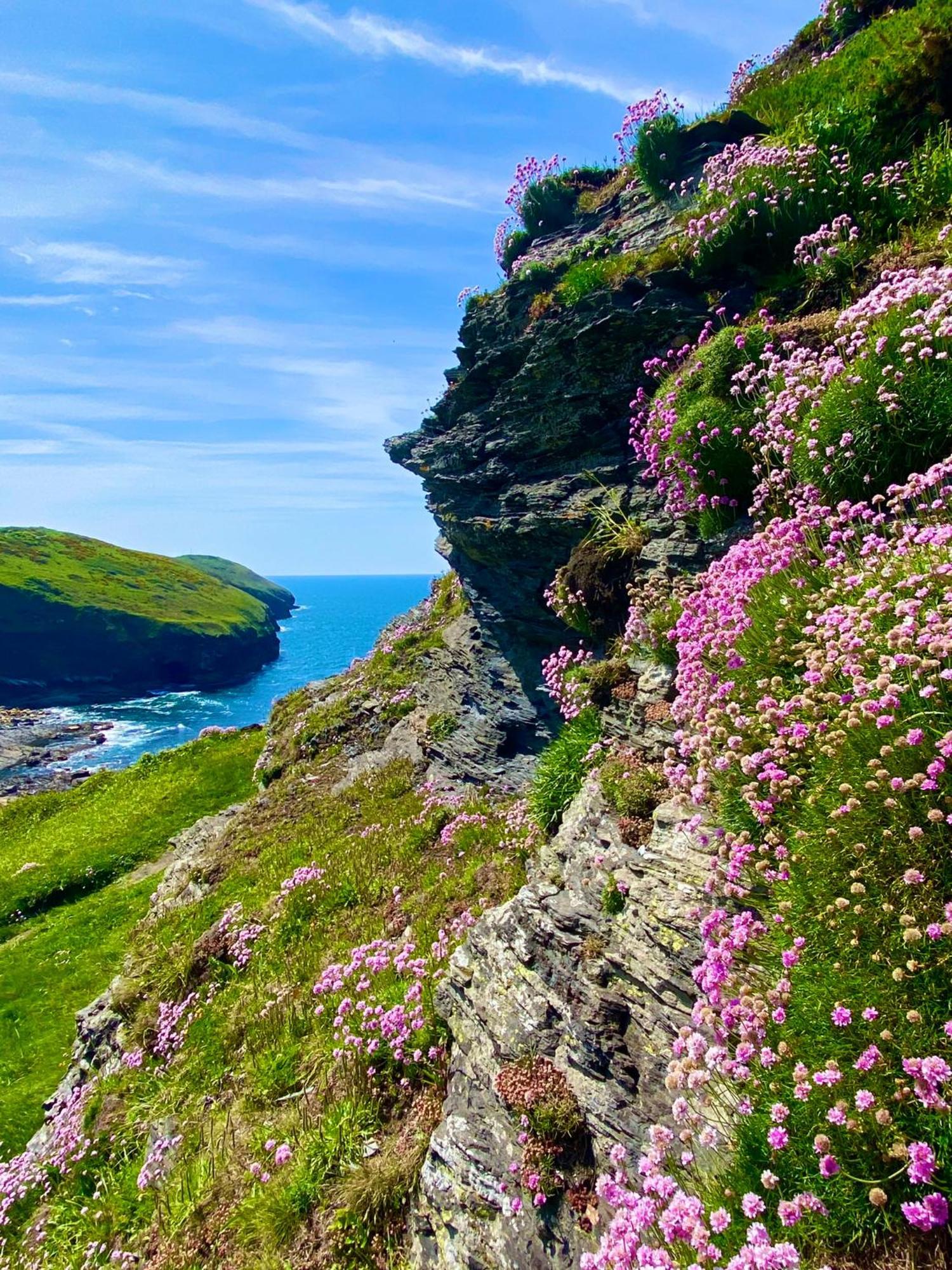 Polrunny Farm Blackberry Cottage - Cornwall Bliss In Sight Of The Sea Boscastle Exteriör bild